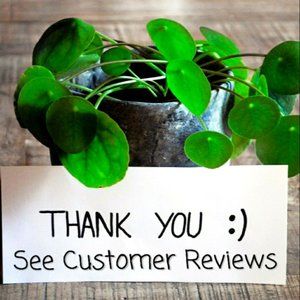 ⭐️⭐️⭐️⭐️⭐️  Customer Reviews TOP SELLER!